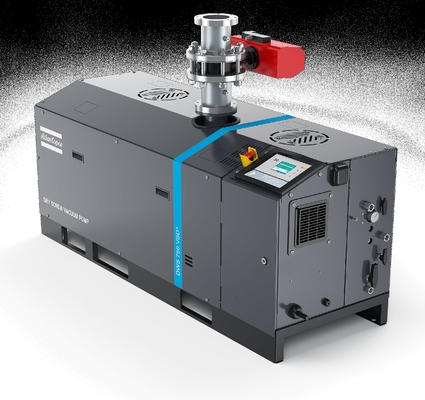 Pompes à vide à courant alternatif DWS 750 VSD+