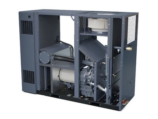 Atlas ZR37-55VSD compresseur d'air à vis sans huile pour la sécurité et la fiabilité du produit